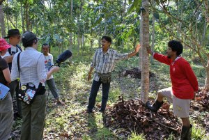 'A' the tree man talking about his community forestry work