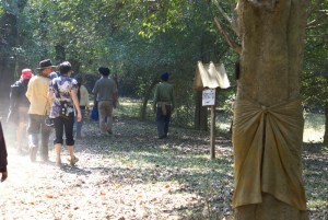 Filming on the fly in a community forest by the Mae Ing river
