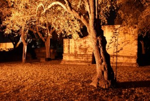 Night scene at Ayutthaya
