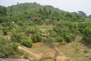 The Nguyen family farm with forest behind