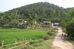 A view across Mr Pham Dung’s farm to their community