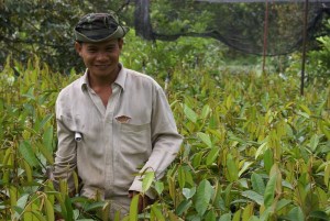 A happy durian tree grower