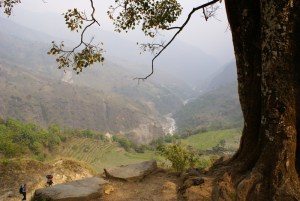 Deforestation is a big issue around Bahundanda village