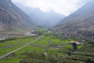 The road, cutting through the fields of Marpha. This is a clear example of the impact of what my mate Dave calls “straight line thinking”