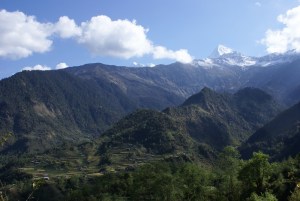 Mountains, forest, terraced fields, a scene that conveys a sense of harmony between man and nature