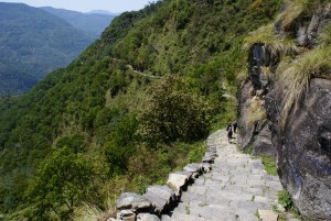 Walking down from Ghandruk. Keen to finish the trek now, but in the end very sad that is was all over